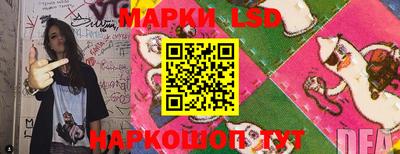apvp Кунгур