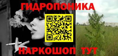 apvp Кунгур
